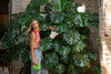A Meet and Greet with Mandi of Happy Happy Houseplant