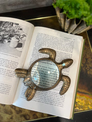 Sea Turtle Magnifying Glass