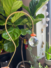 Plant Suncatchers