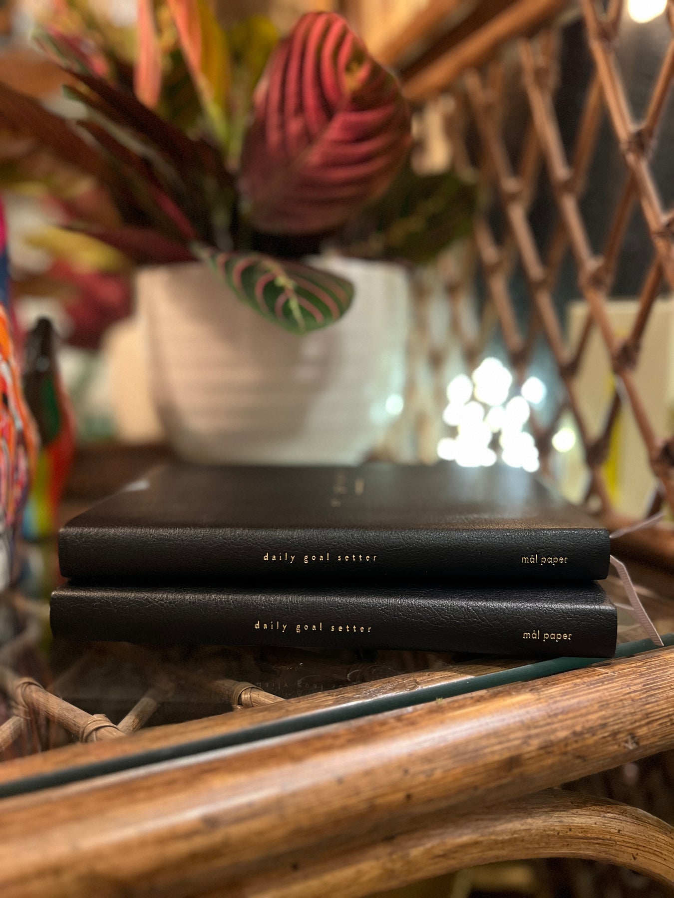 Daily Goal Setter Planner