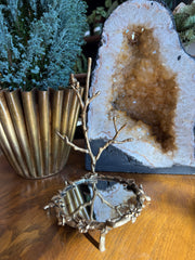Mirrored Branch Tray