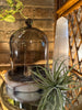 Glass Cloche & Marble Base