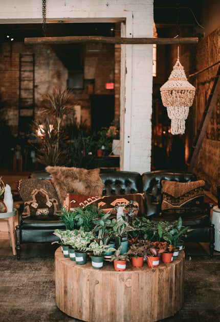 Good Roots Houseplants, Rugs, Vintage Goods and Home Decor | House Plants Near Me